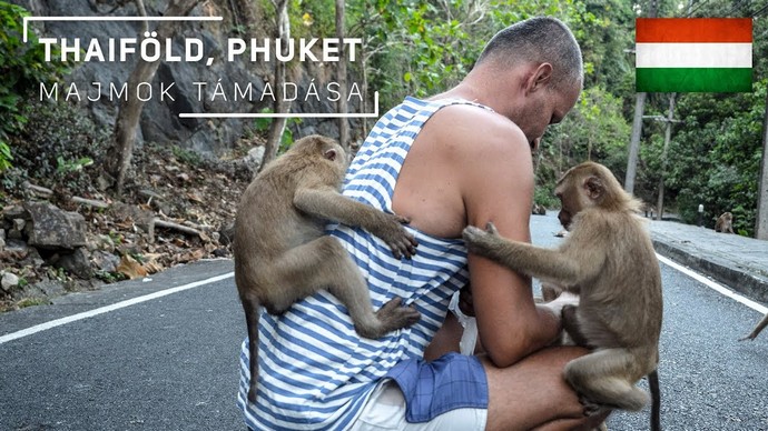 Thaiföld, Phuket Látnivalók – Majmos napot tartottunk – utazó vlog – VIDEÓ
